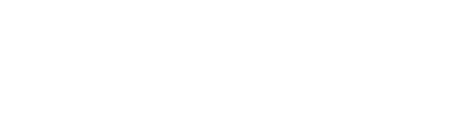 IT & Process Management Consulting